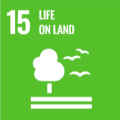 SDG15.png